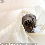 Paul Douglas Profile Picture