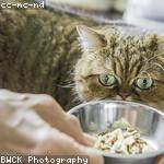 Vida Kulas Profile Picture