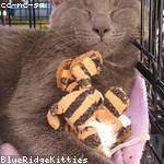 Ebony Reichert Profile Picture