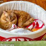 Mae Green Profile Picture