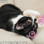 Eulalia Satterfield Profile Picture