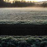 Kailey Schneider Profile Picture