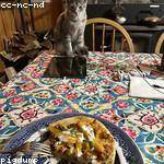 Katelin Hyatt Profile Picture