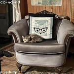 Celia Zulauf Profile Picture