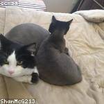 Betty Harber Profile Picture