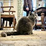 Jack Rosenbaum Profile Picture