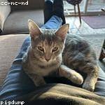 Percy Davis Profile Picture