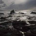 Euna Kerluke Profile Picture