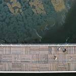 Larue Reynolds Profile Picture