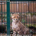 Sandra Lakin Profile Picture