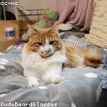 Tracy Jast Profile Picture