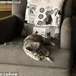 Maybell Roberts Profile Picture