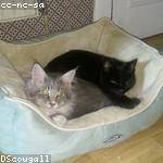 Mathias Durgan Profile Picture