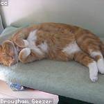 Dannie Bernhard Profile Picture