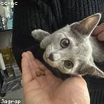 Jovanny Strosin Profile Picture