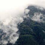 Pete Senger Profile Picture