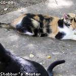 Herta Nitzsche Profile Picture