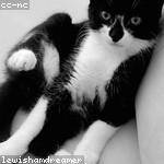 Kathleen Corwin Profile Picture