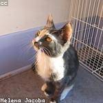 Destinee Considine Profile Picture