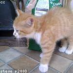 Pat Cremin Profile Picture