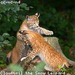 Anthony Hane Profile Picture