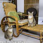 Jamey Crooks Profile Picture