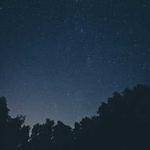 Tony Bogan Profile Picture