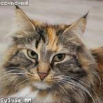 Wilber Friesen Profile Picture