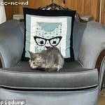 Hertha Zemlak Profile Picture