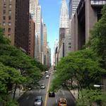 Cale Schiller Profile Picture