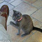 Korey Huels Profile Picture