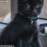 Brock Gulgowski Profile Picture