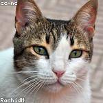 Fatima Kuvalis Profile Picture