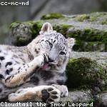 Winifred Gaylord Profile Picture