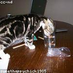 Elfrieda Ratke Profile Picture