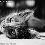 Madison Ullrich Profile Picture