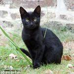 Eleanore Emmerich Profile Picture