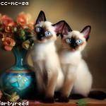 Zoila Gerhold Profile Picture