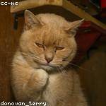 Thora Koepp Profile Picture