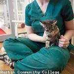 Preston Bashirian Profile Picture