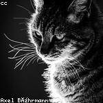 Nya Rice Profile Picture