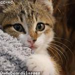 Camron Ledner Profile Picture