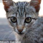 Eldred Mitchell Profile Picture