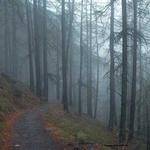 Ashleigh Koepp Profile Picture