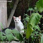 Andreane Breitenberg Profile Picture