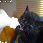 Loren Prohaska Profile Picture