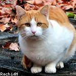 London Brekke Profile Picture