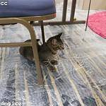 Eric Kemmer Profile Picture