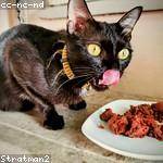 Stephania Heaney Profile Picture