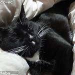 Elouise Kozey Profile Picture